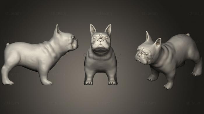 3D model French Bulldog (1) (STL)